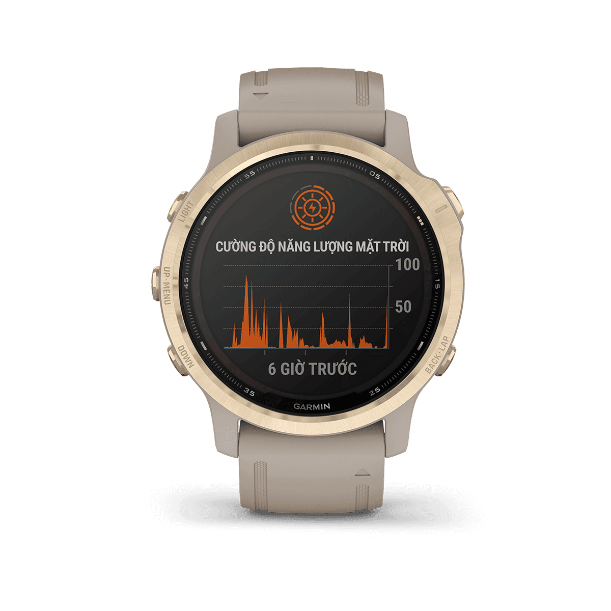 Thay Pin Garmin Fenix 6S Pro