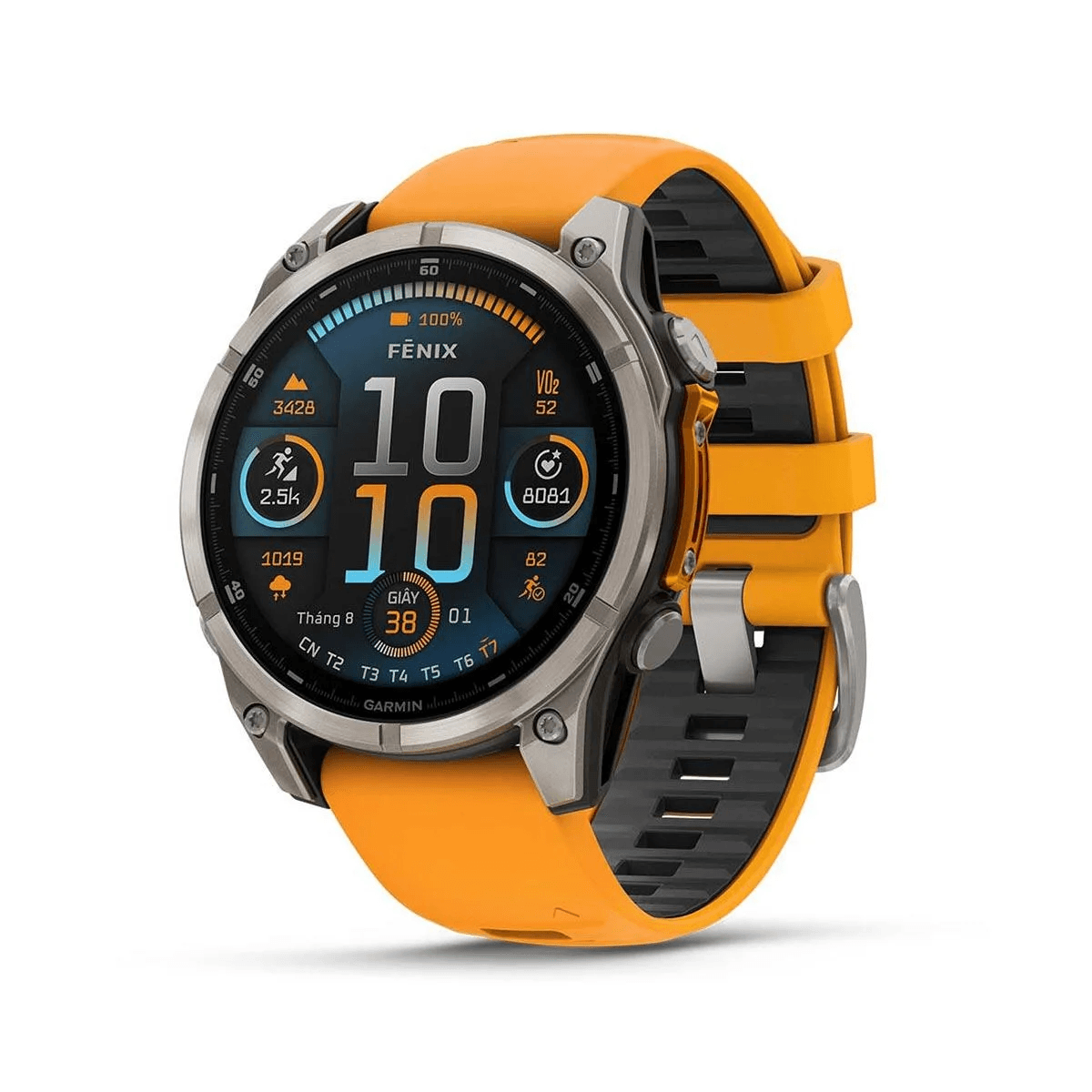 Thay Pin Garmin Fenix 8 47mm